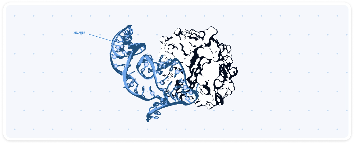 Link fragments & add modifications